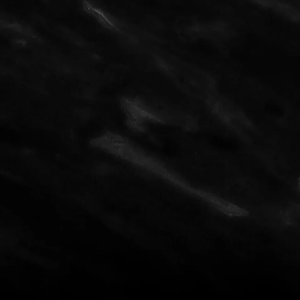 exhibit-attendees-background