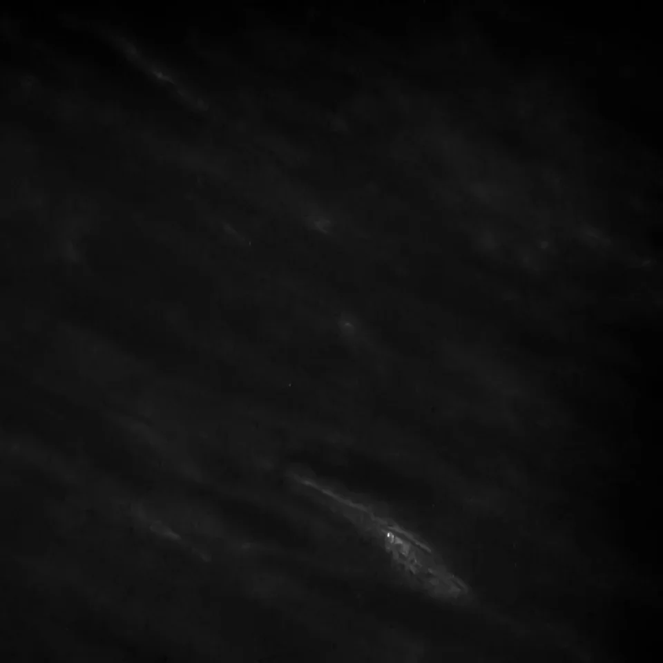 exhibit-countries-background