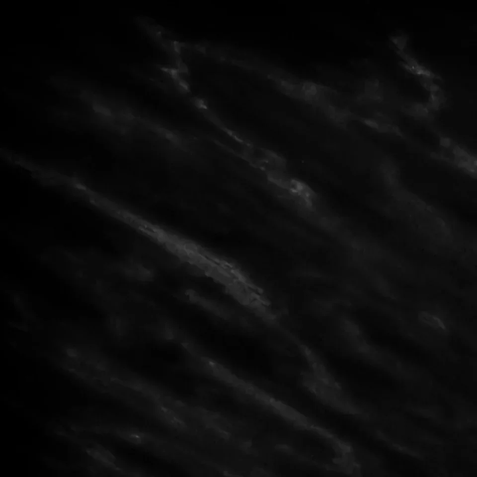 exhibit-reach-background