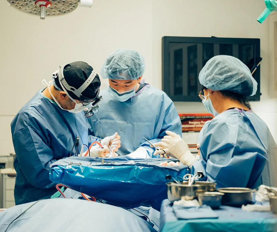 Day 3 - cadaver lab day image depicts surgeons working on a cadaver
