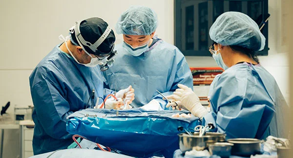 Day 3 - cadaver lab day image depicts surgeons working on a cadaver